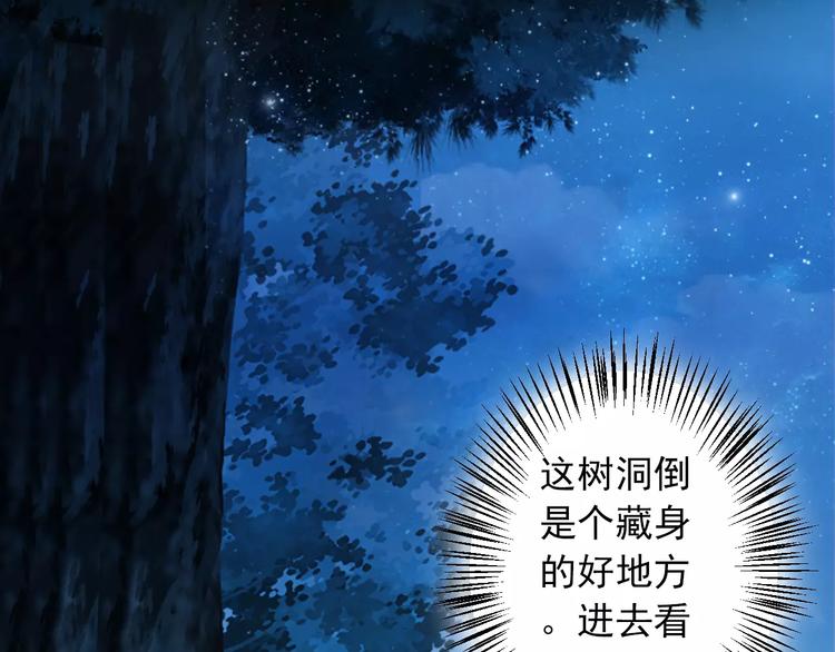 第1+2话 霸道老虎爱上我？(1/4)-第1话
