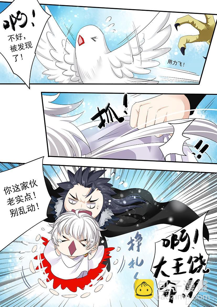 番外：老鹰小叽X信鸽拟人-第145话