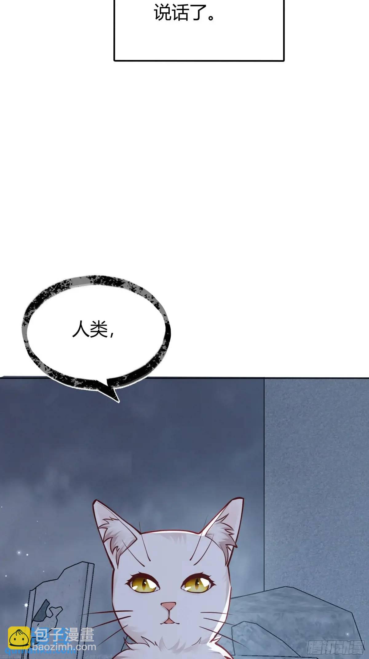 99 091猫-第97话
