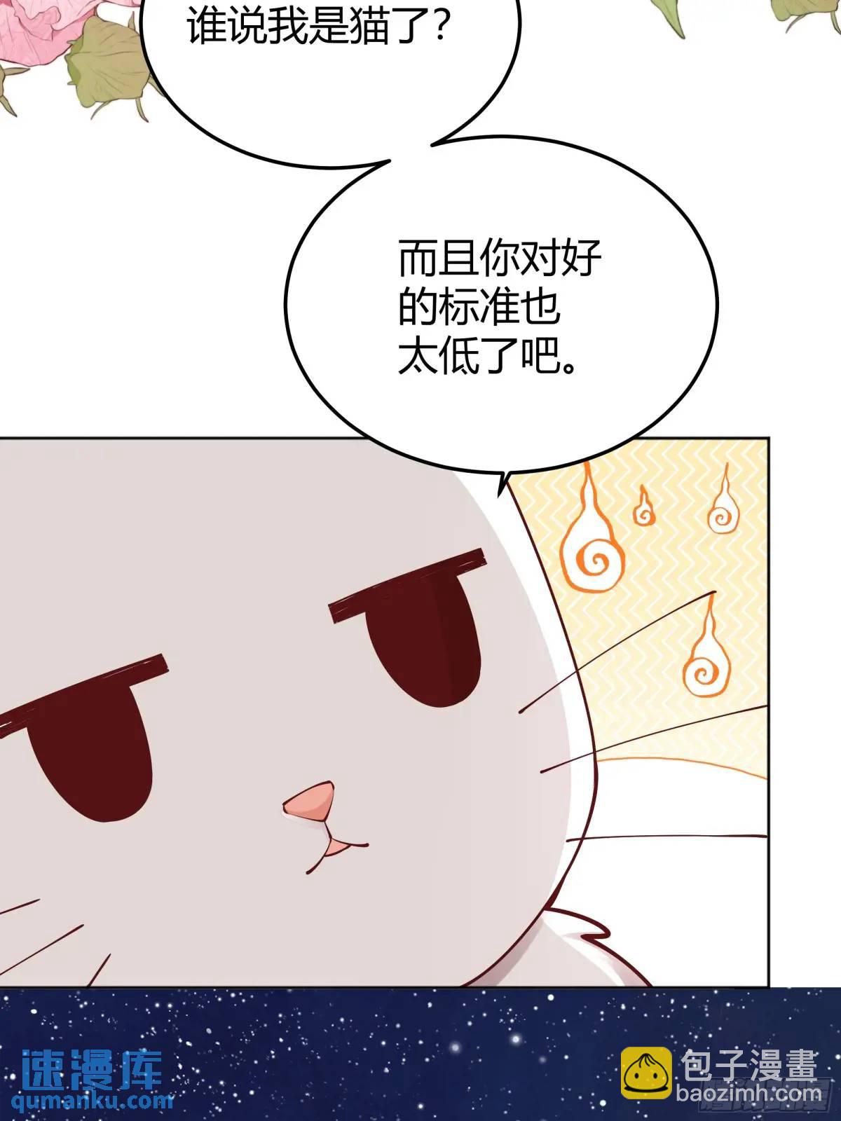 99 091猫-第97话