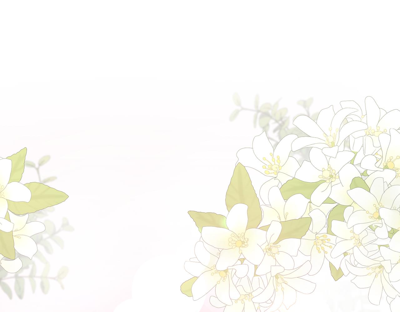 第11话 林间野炊(1/4)-第11话