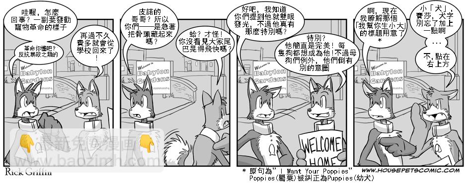 🍹Housepets! 第1话 第34页