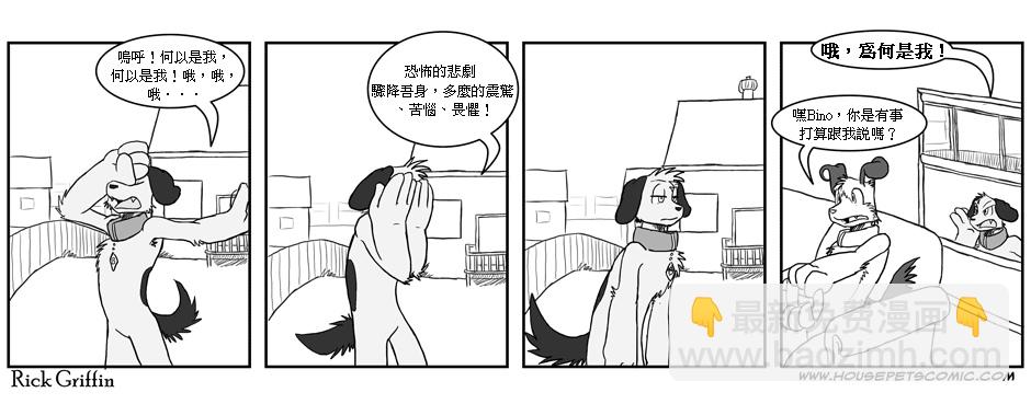🍹Housepets! 第1话 第6页