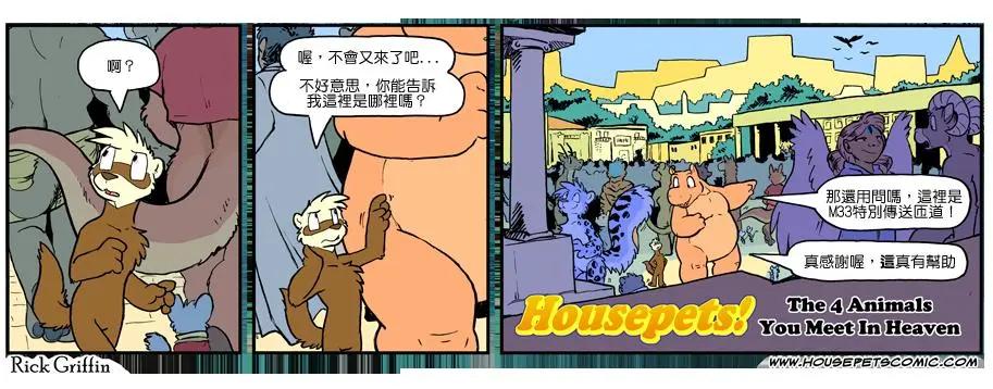 🍹Housepets! 第1103话 第1页