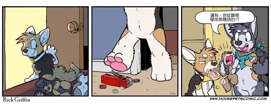 🍹Housepets! 第1133话 第1页