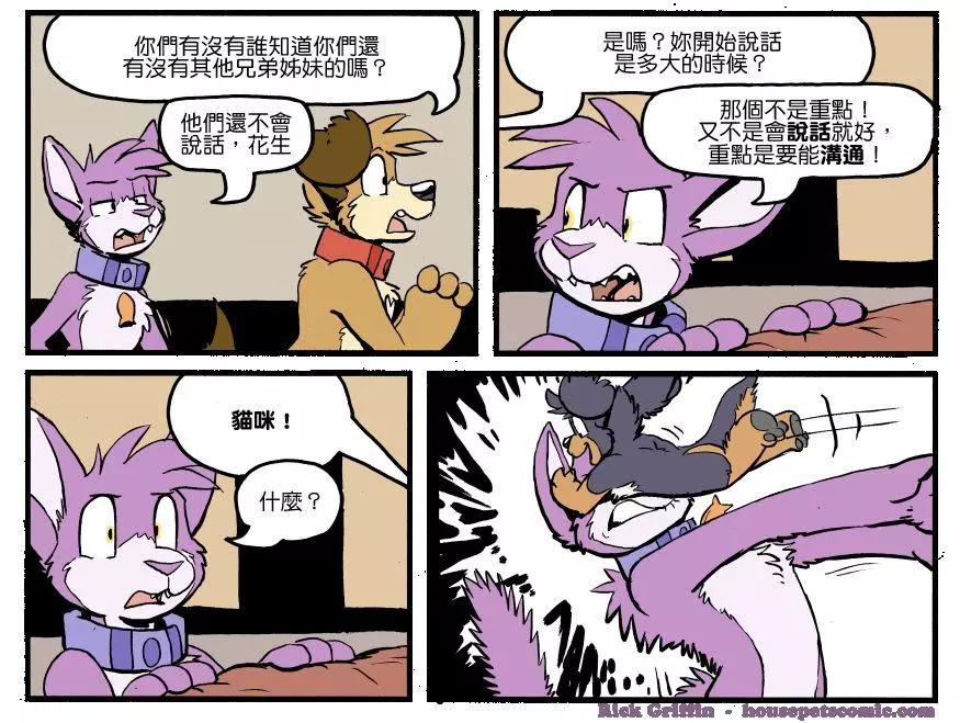 🍹Housepets! 第1227话 第1页