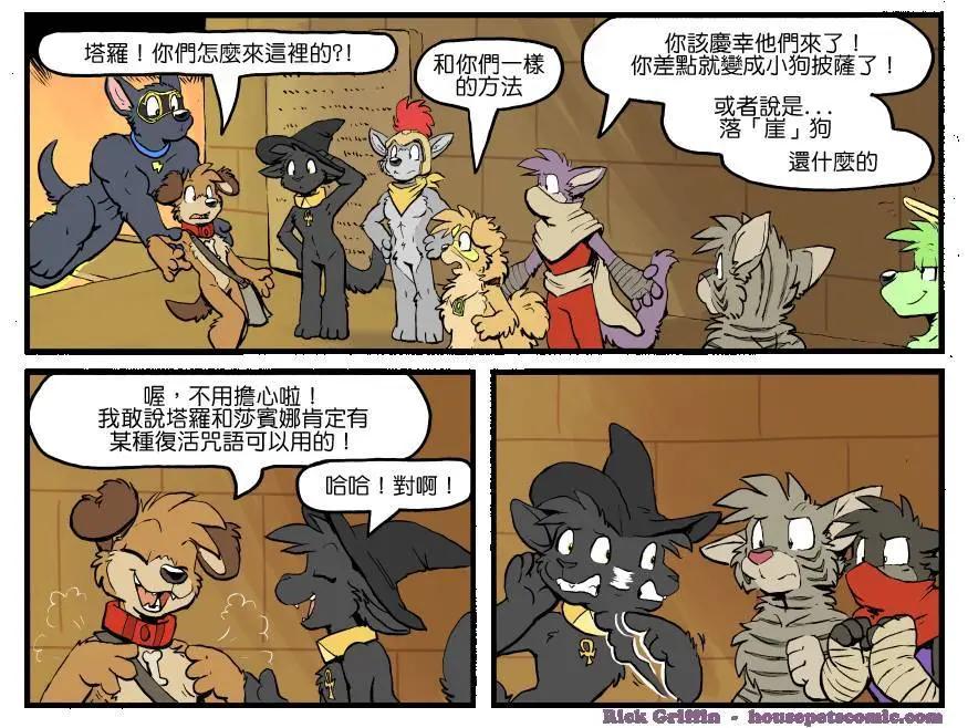 🍹Housepets! 第1303话 第1页