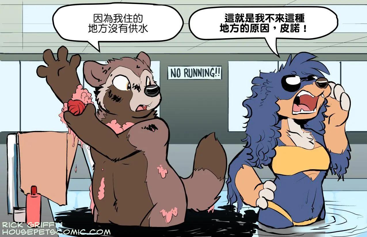 🍹Housepets! 第1347话 第1页