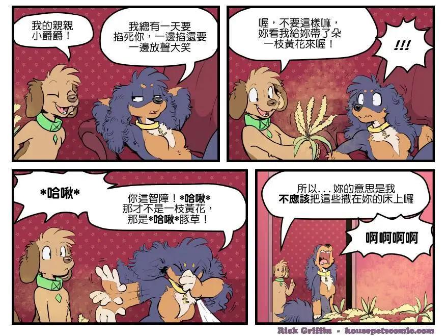 🍹Housepets! 第1537话 第1页