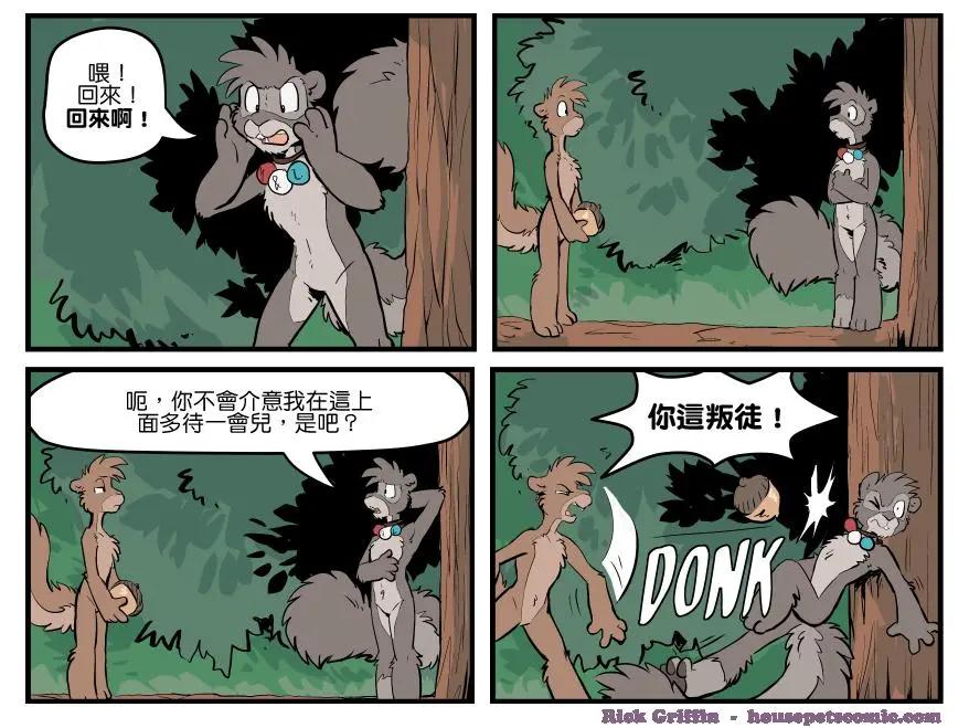 🍹Housepets! 第1555话 第1页