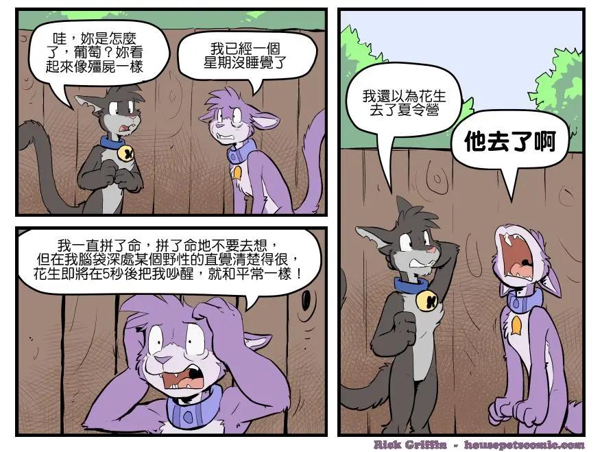 🍹Housepets! 第1571话 第1页