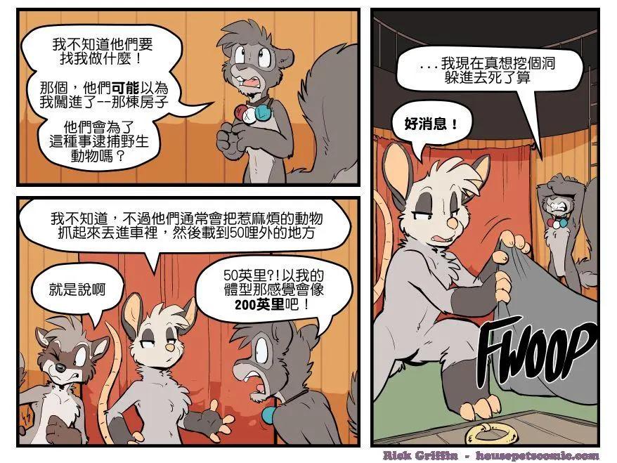 🍹Housepets! 第1577话 第1页