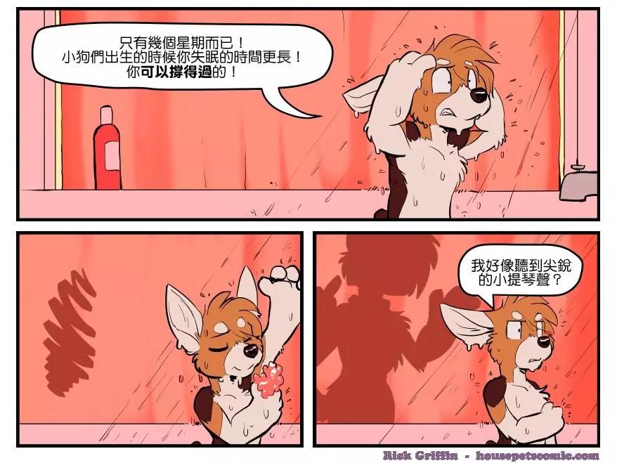 🍹Housepets! 第1649话 第1页