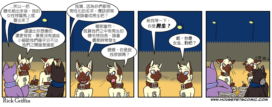 🍹Housepets! 第169话 第1页