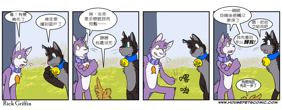 🍹Housepets! 第240话 第1页