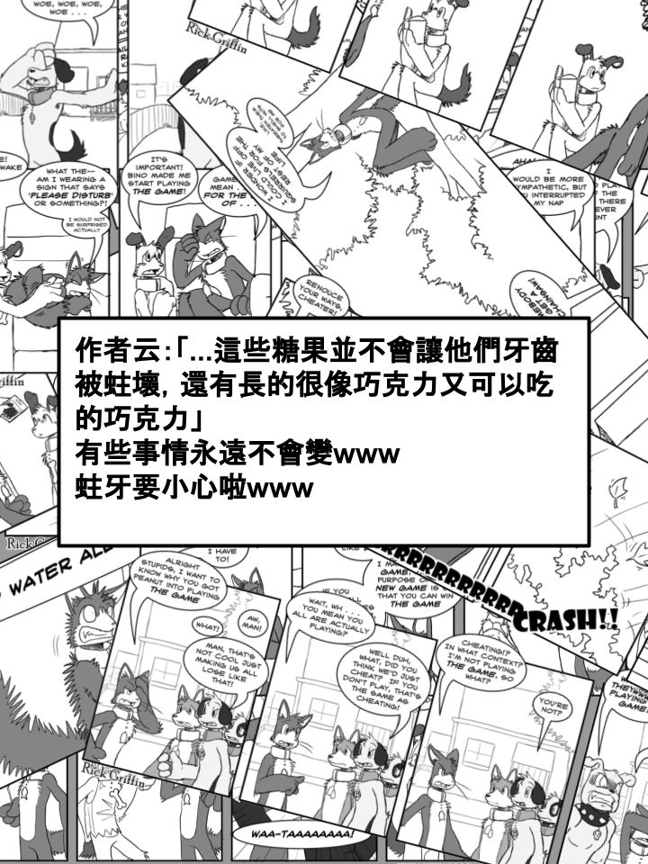 🍹Housepets! 第264话 第2页