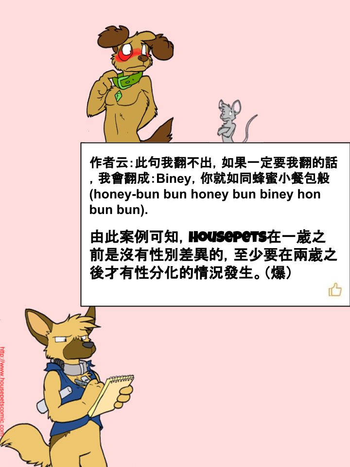 🍹Housepets! 第272话 第2页