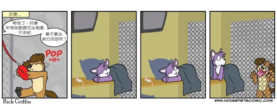 🍹Housepets! 第502话 第1页