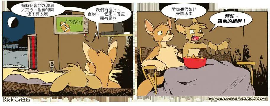 🍹Housepets! 第651话 第1页