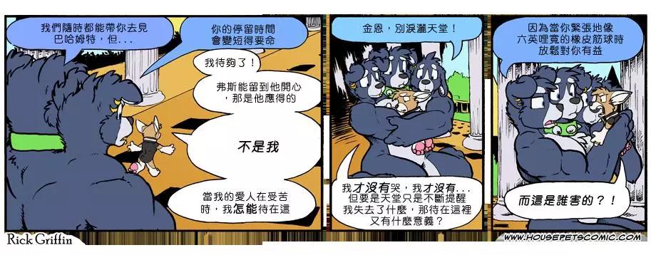 🍹Housepets! 第856话 第1页