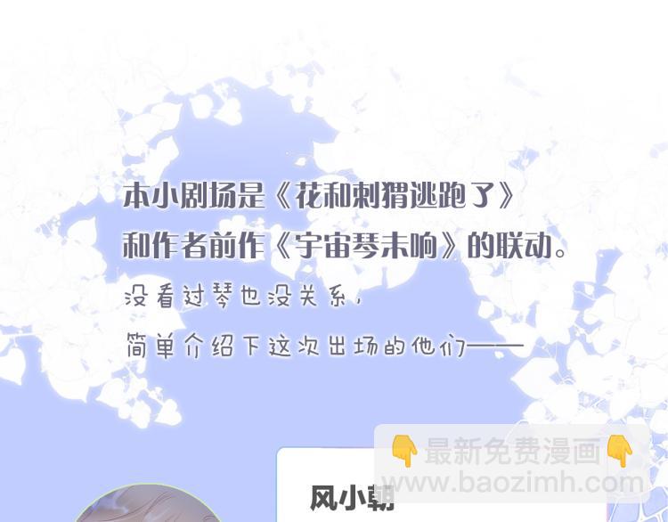 小剧场 花与琴的世界混乱了.中-第35话