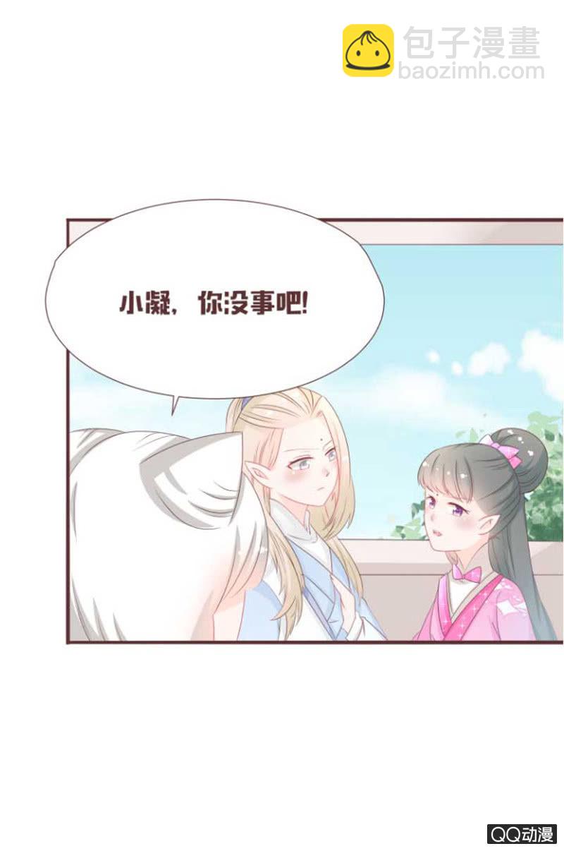 花灵大会临近！-第41话
