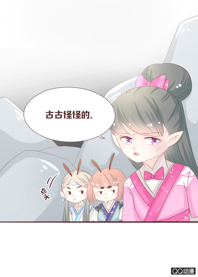 召唤花灵的信物-第51话