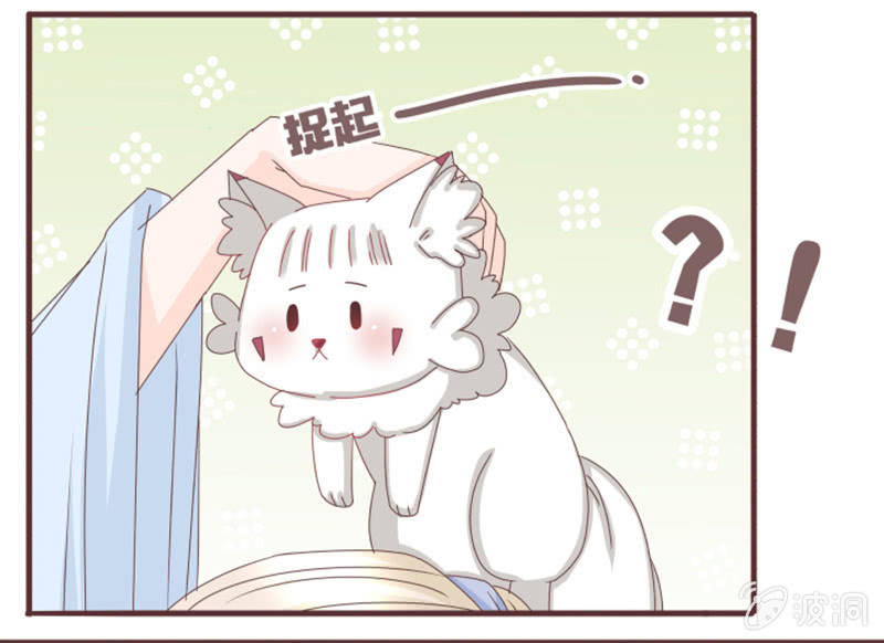 大家一起找鸡吧！-第7话