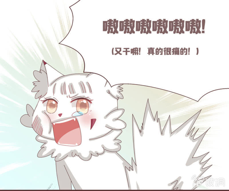 大家一起找鸡吧！-第7话