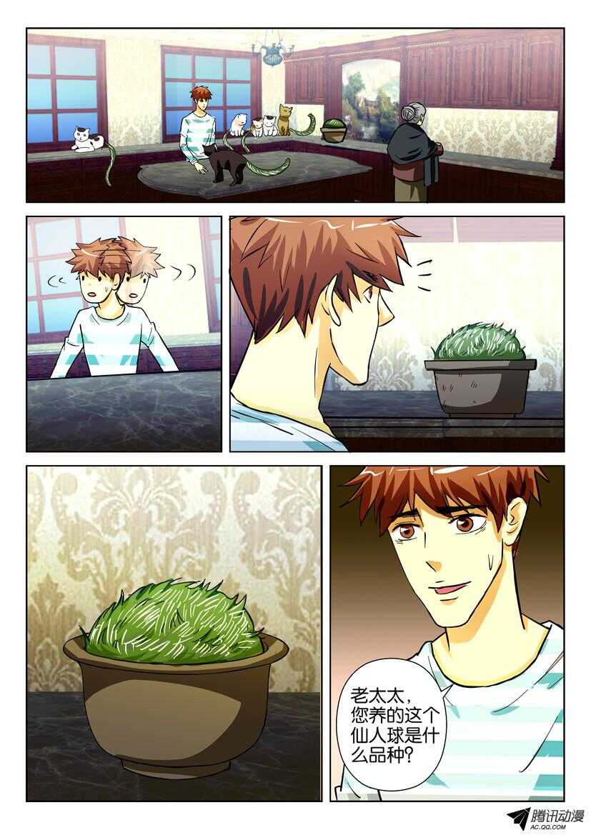 第一百六十一回 仙人球-第161话