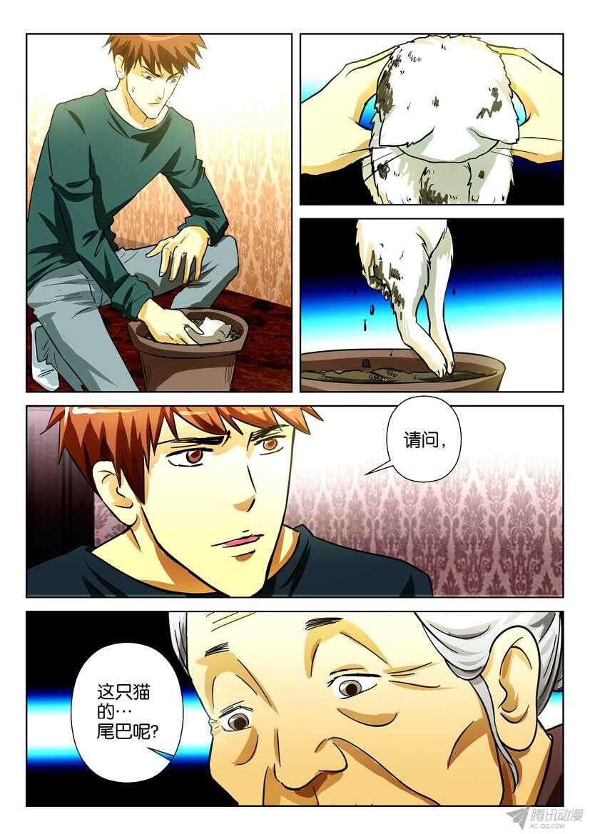 第一百六十九回 种猫-第169话