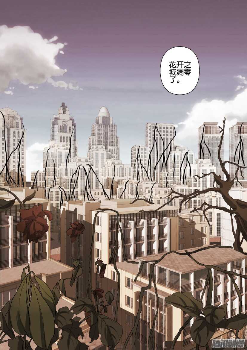 第221回 是秘密-第221话