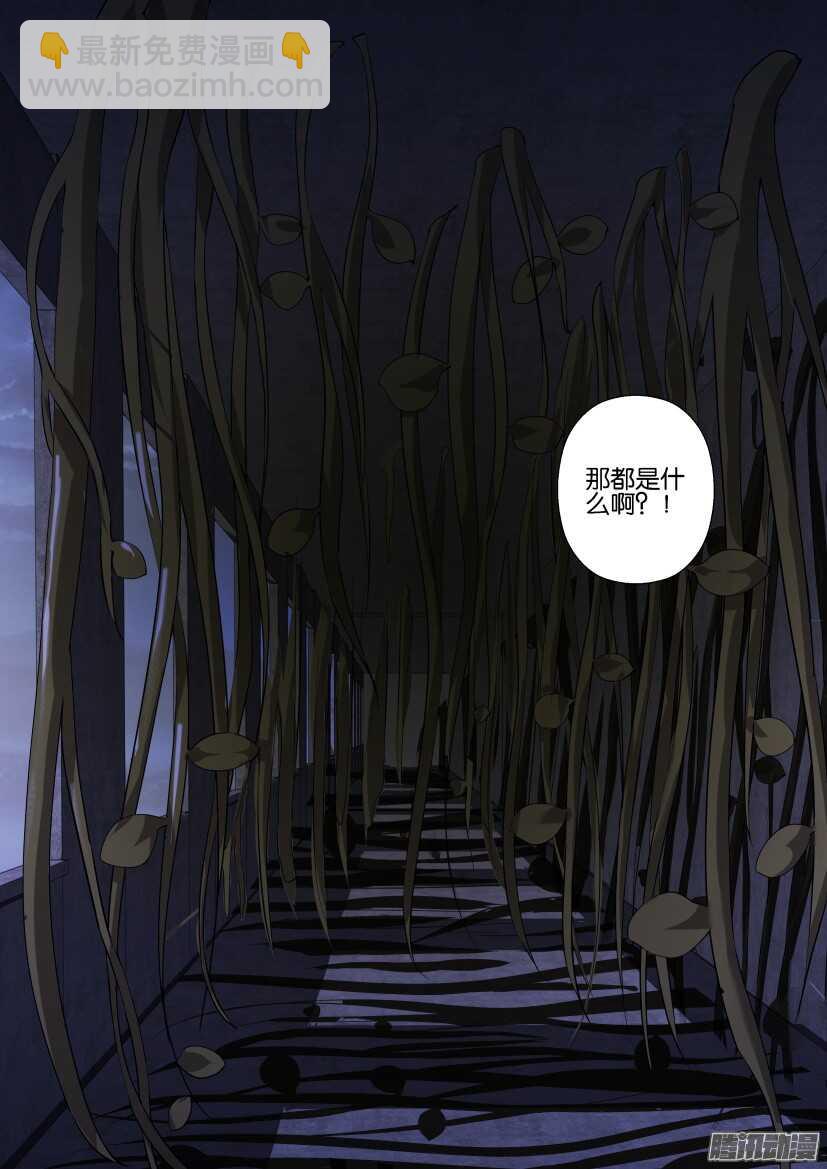 第275回 奇异的玻璃-第275话