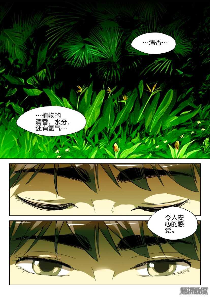 第277回 银扇草-第277话