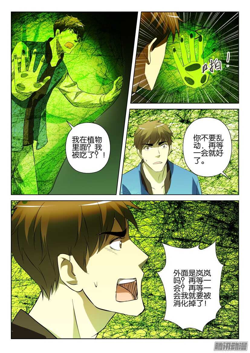 第277回 银扇草-第277话