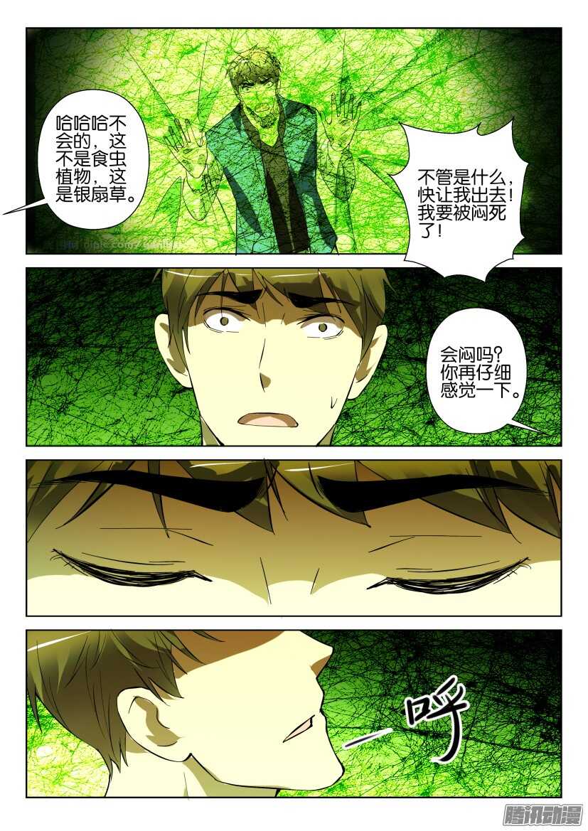 第277回 银扇草-第277话