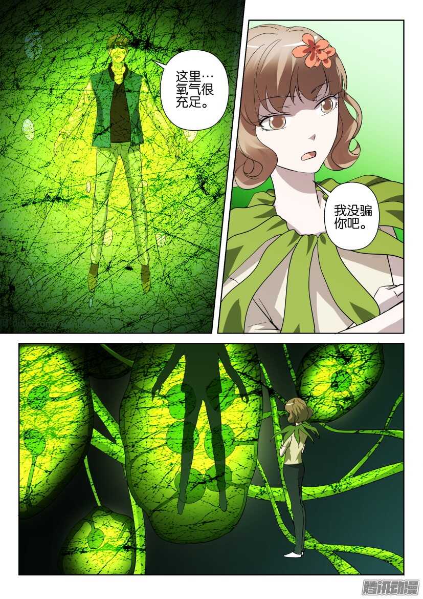 第277回 银扇草-第277话