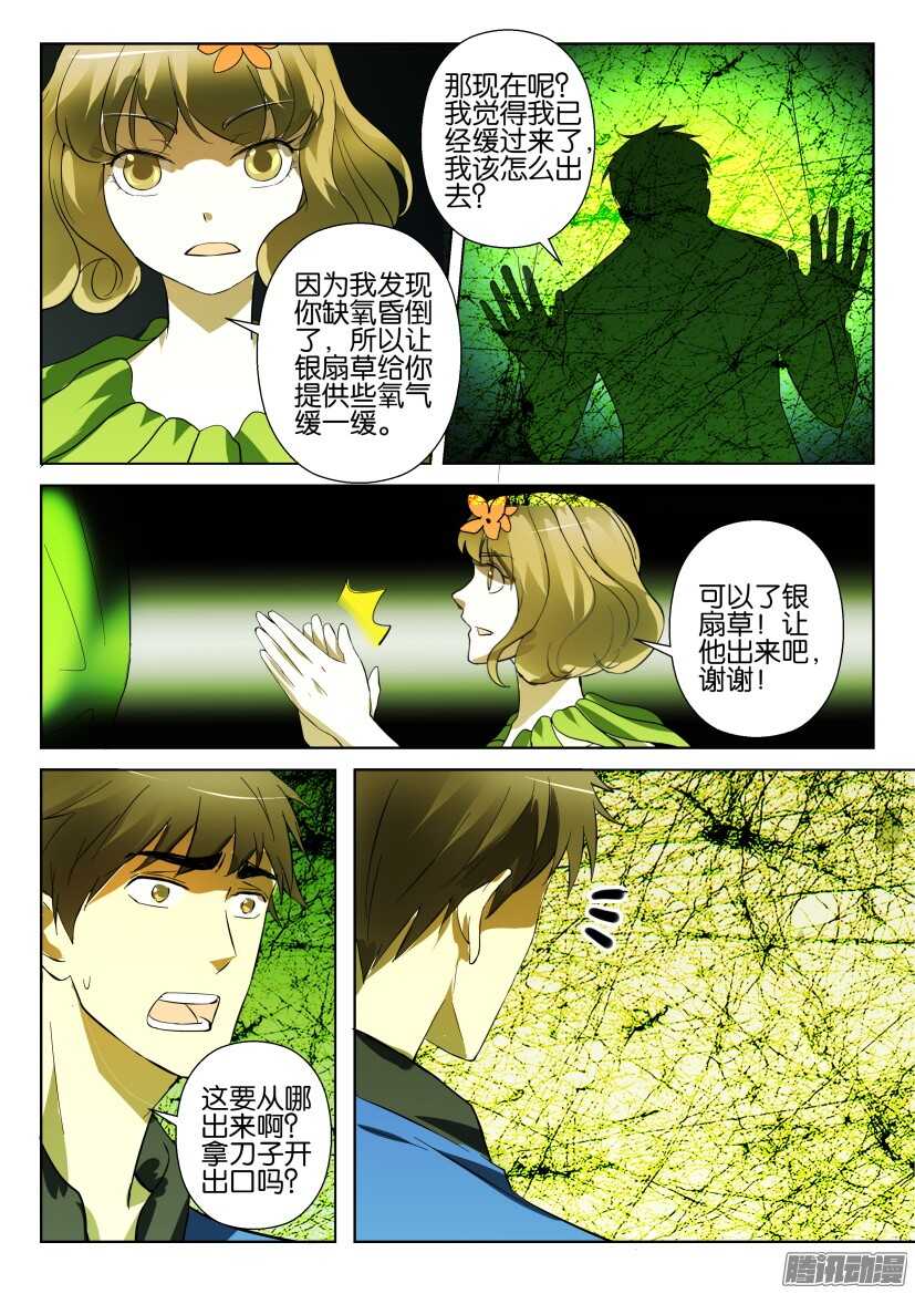 第277回 银扇草-第277话