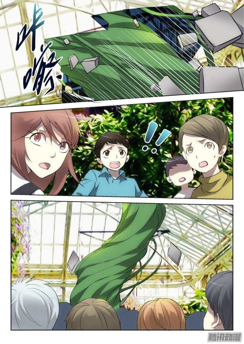 第373回 蒲公英开花啦-第373话