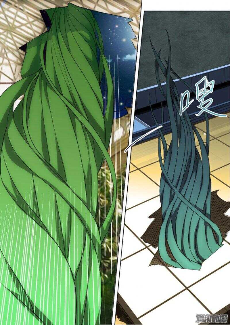第373回 蒲公英开花啦-第373话