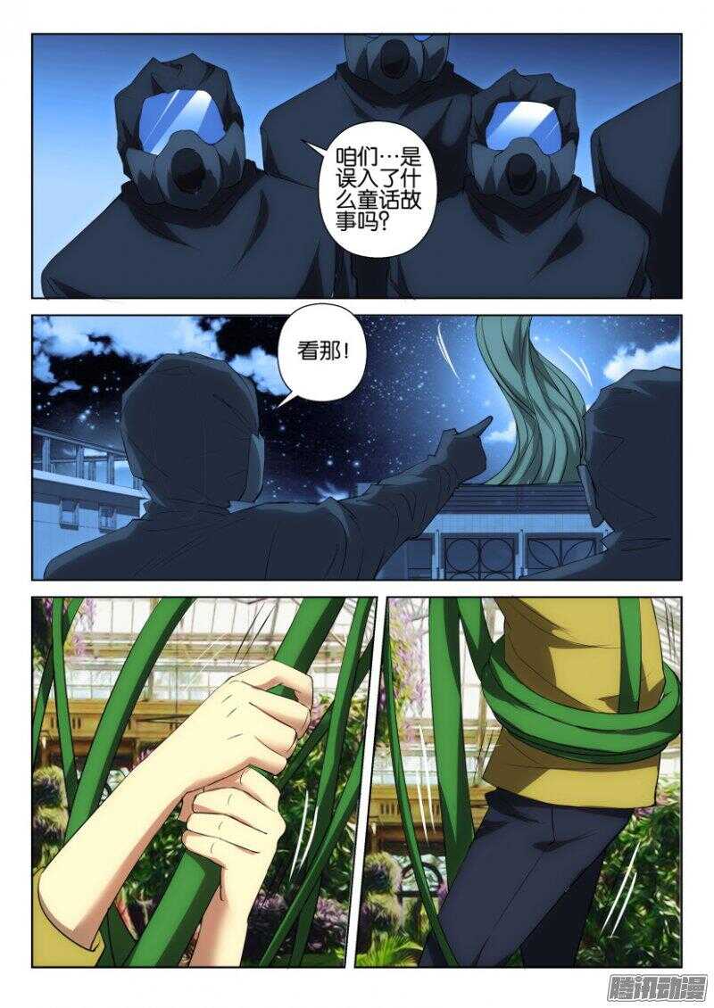 第373回 蒲公英开花啦-第373话