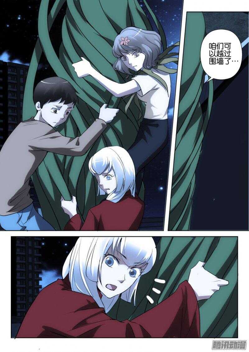 第373回 蒲公英开花啦-第373话