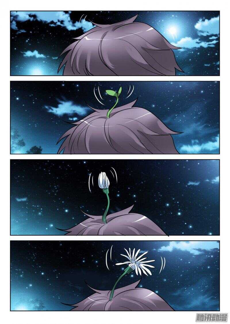 第373回 蒲公英开花啦-第373话