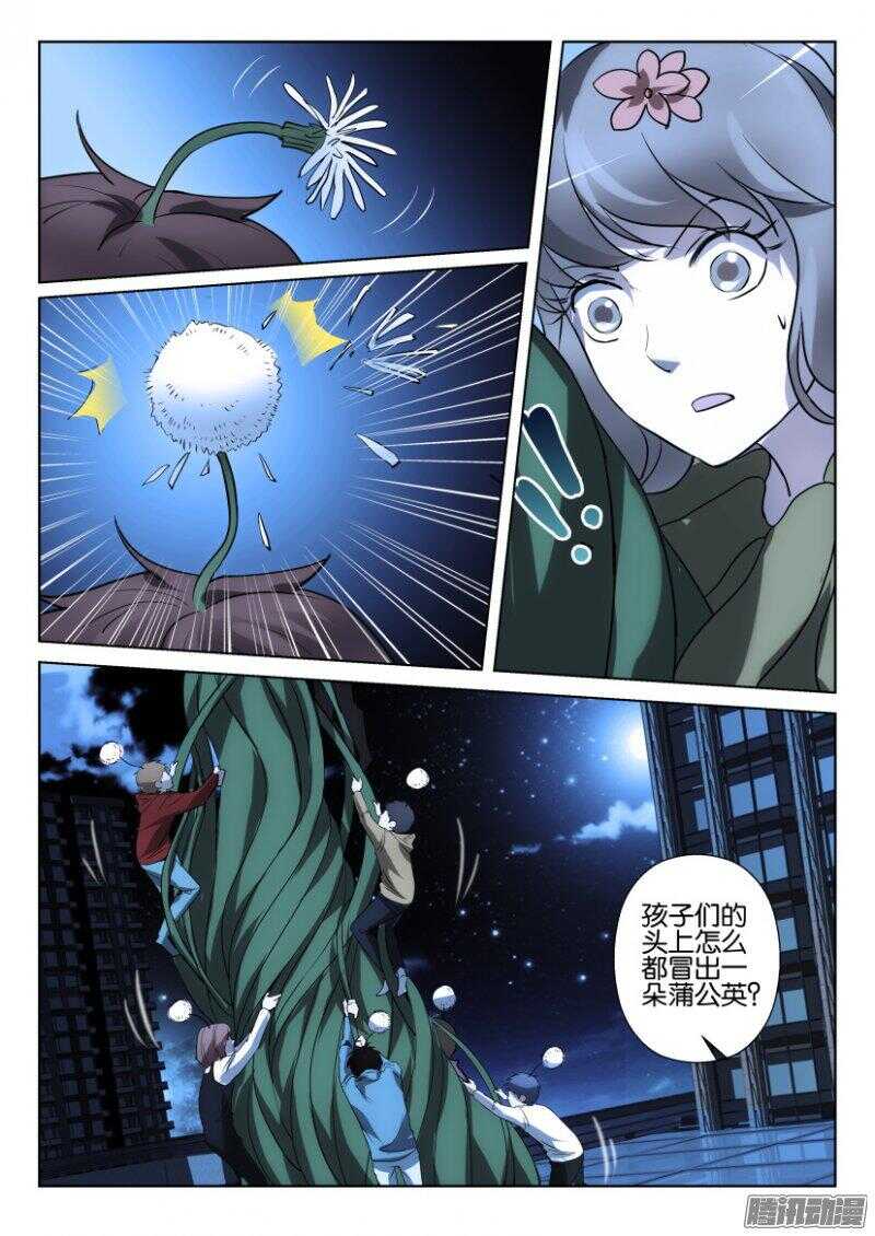 第373回 蒲公英开花啦-第373话