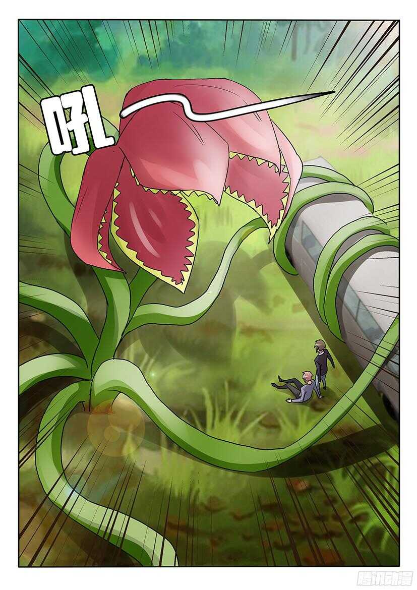 第507回 苏醒的花儿们-第507话