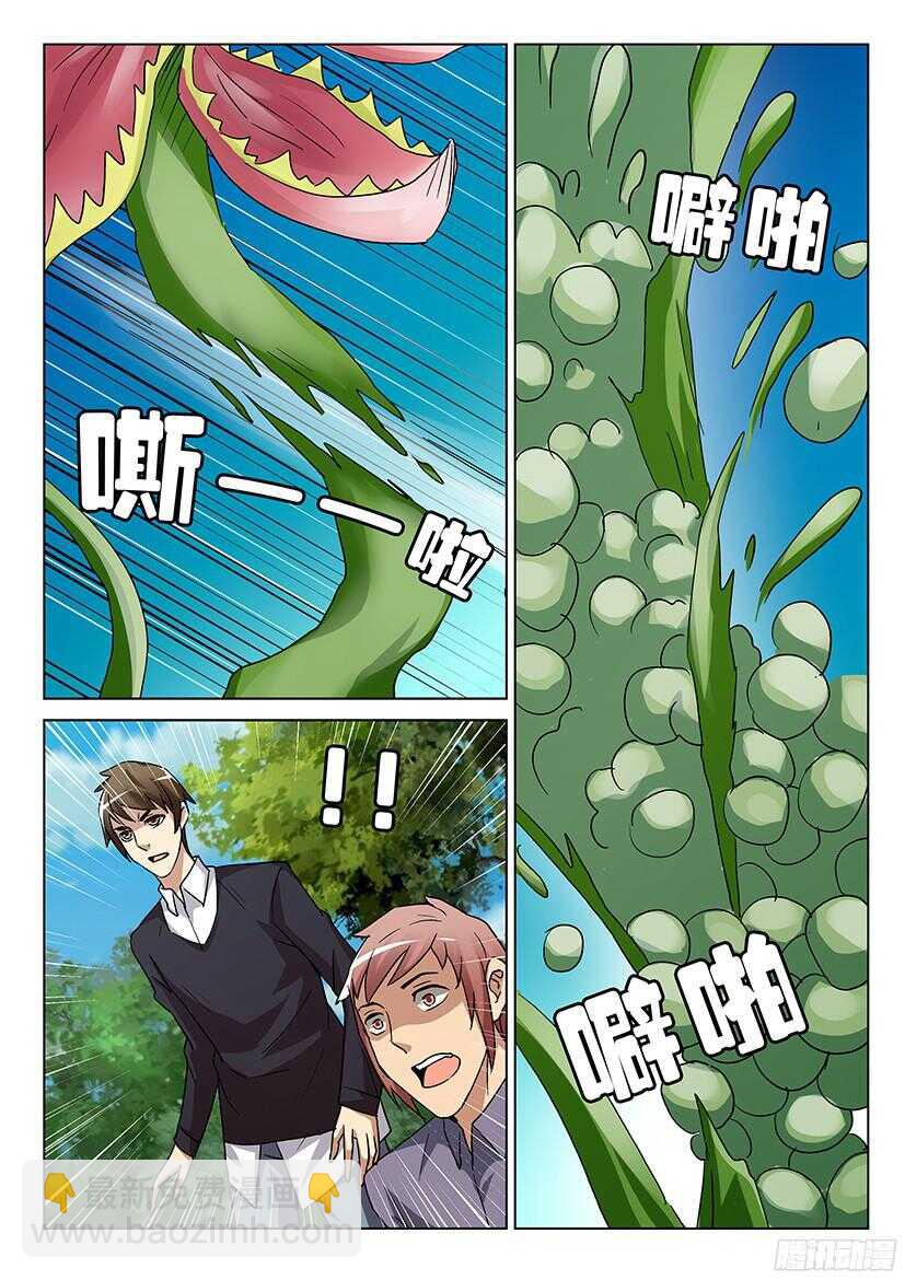 第507回 苏醒的花儿们-第507话