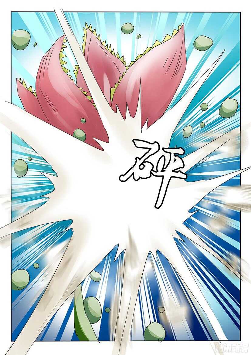 第507回 苏醒的花儿们-第507话