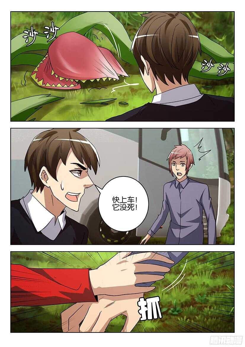 第507回 苏醒的花儿们-第507话