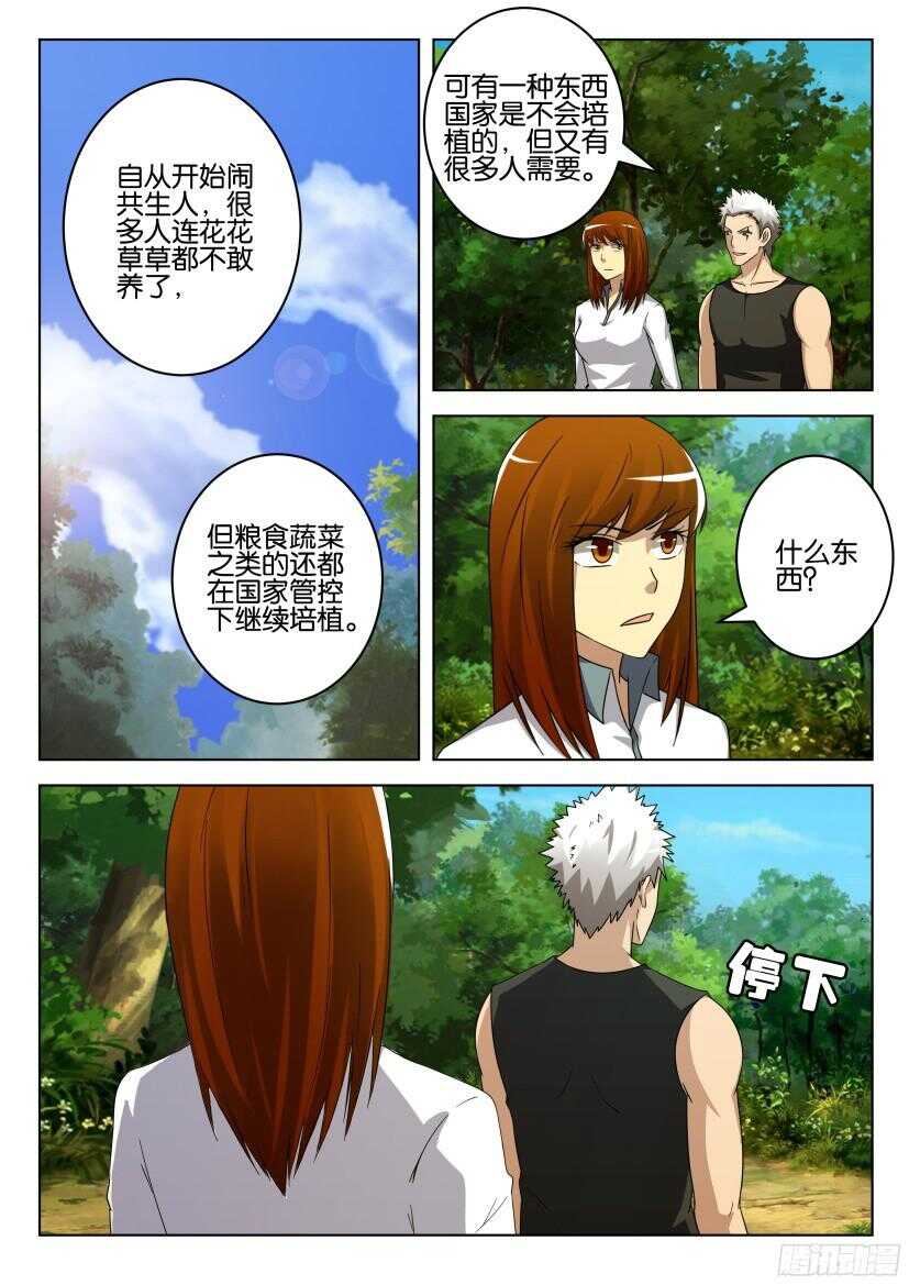 第513回 罂粟花山谷-第513话