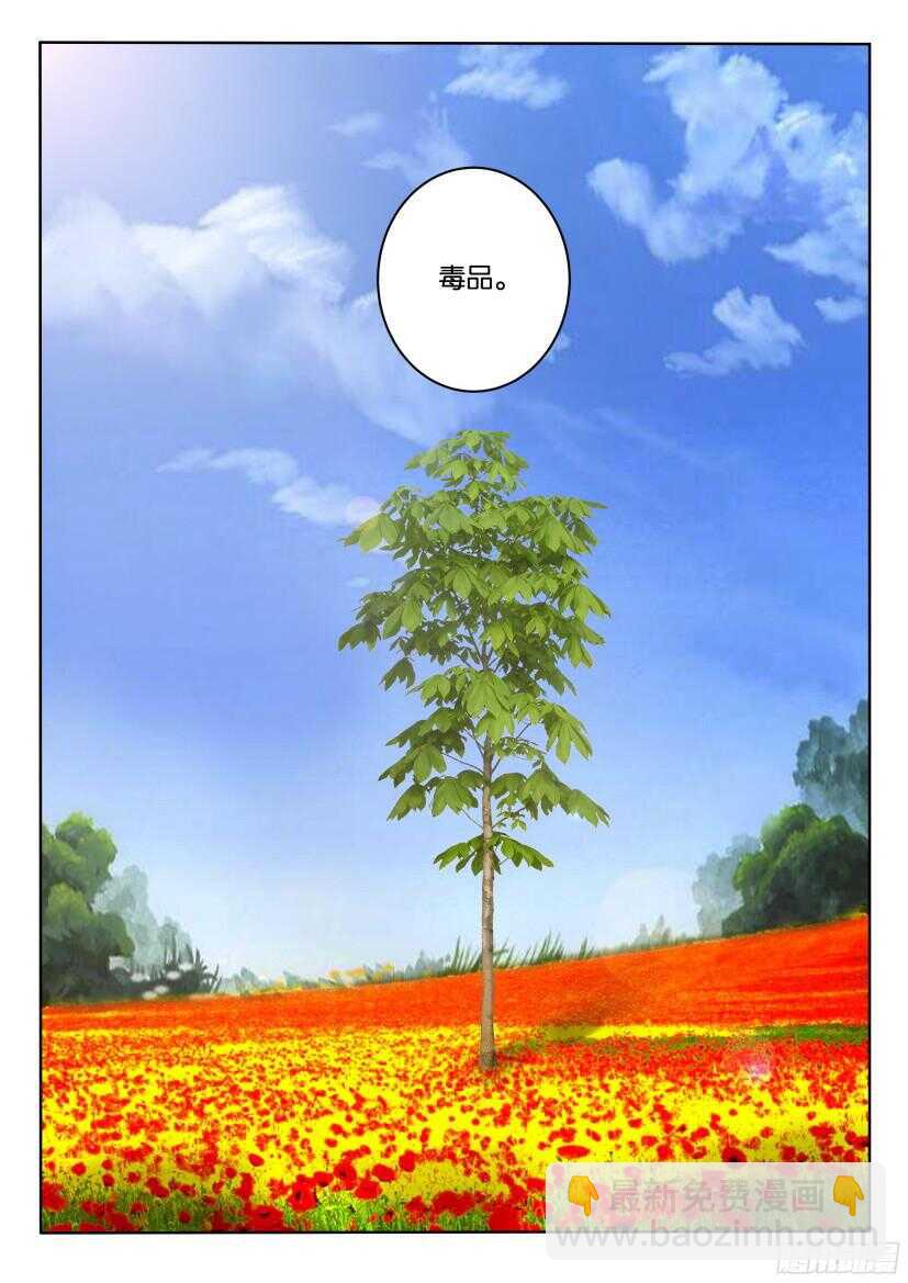 第513回 罂粟花山谷-第513话